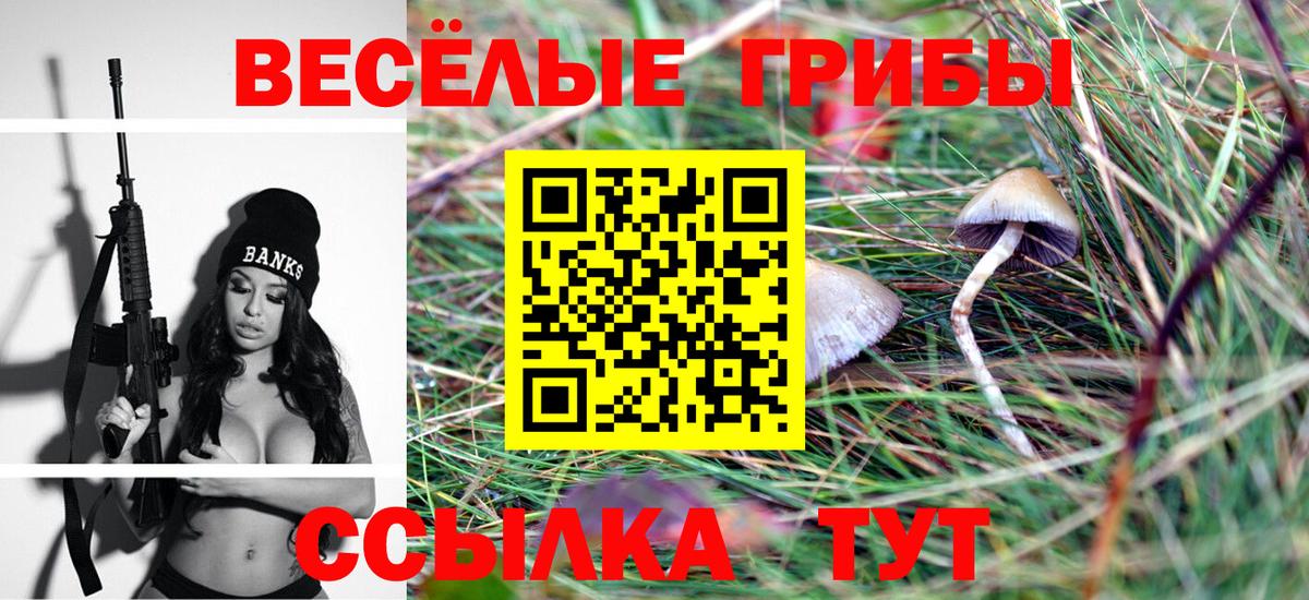 Галлюциногенные грибы MAGIC MUSHROOMS  Вход с VPN  Владикавказ 