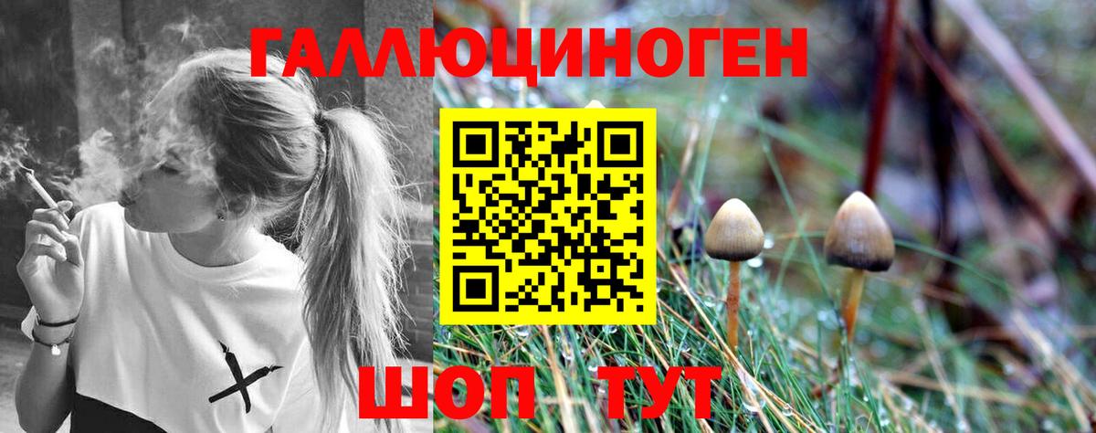 Галлюциногенные грибы MAGIC MUSHROOMS Владикавказ